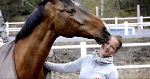 Check spelling or type a new query. Malin Baryard Och Butterfly Flip Tavlar For Sista Gangen Svd