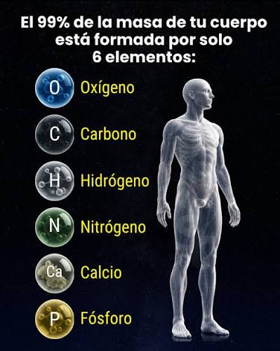 Aunque el cuerpo humano contiene miles de compuestos y moléculas complejas,  el 99% de su masa está formada por solo seis elementos: oxígeno, carbono,  hidrógeno, nitrógeno, calcio y fósforo. Estos elementos son