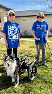 Cindy and Socks remind us that some of the simplest things in life can help  those in need., She started walking for her neighbor Donna, who was  diagnosed with cancer. Then she kept walking — for her ...