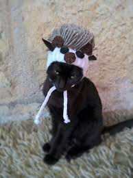 Yes, in small amounts peas are perfectly fine for your feline friend. Eggplant Hat For Cat Eggplant Pet Costume Vegetable Kitten Etsy Cat Accessories Hat For Cat Pet Costumes