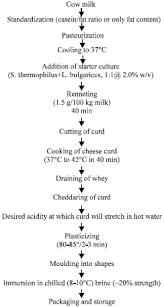 Cheese Making Process Hbmmrgjm