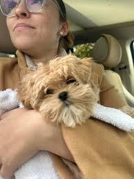 Vicky Rawlings's Instagram, Twitter & Facebook