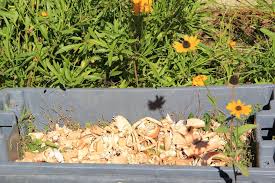 We did not find results for: Benefits Of Composting With Lobster Shells Buy Live Maine Lobster