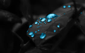 Download simple blue & black wallpaper ultrahd wallpaper. Dark Blue Wallpaper Hd Pixelstalk Net