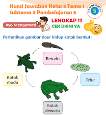 Udin dan beni bermain bola di lapangan. Lengkap Kunci Jawaban Kelas 3 Tema 1 Subtema 3 Pembelajaran 5 Simple News Kunci Jawaban Lengkap Terbaru