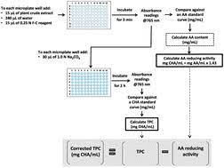 The effect of microwave power on total phenolic content and total flavonoid was conducted afterwards. The Folin Ciocalteu Assay Revisited Improvement Of Its Specificity For Total Phenolic Content Determination Analytical Methods Rsc Publishing