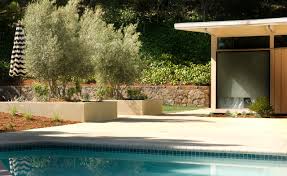 With a slim, tall frame, this bookcase is perfect for placing against the wall of a small home office or tucked into the corner of the family room. Mid Century Modern Garden Rehab Minimalistisch Garten San Francisco Von Integrated Design Studio Inc Houzz