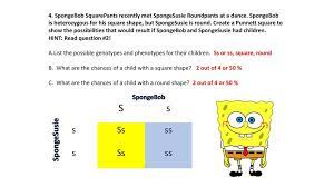 What would happen if spongebob crossed two purple poofkins? Punnett Squares With Sponge Bob Ppt Download
