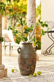 Ubertopf Kanawha Loberon Coming Home Gartendesign Ideen Ubertopf Garten Design