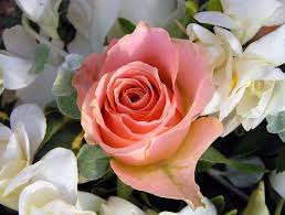 Newington Obituary: Steven Hepple, 64