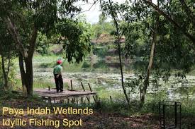 We did not find results for: Paya Indah Wetlands Eco Tourism Near Putrajaya Malaysia