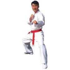 details about v neck student taekwondo uniform gi w white belt