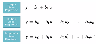 Machine Learning Project 3 Predict Salary Using Polynomial Regression By Omair Aasim Analytics Vidhya Medium