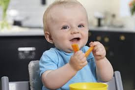 Profitez de nos articles puériculture et bebe de grande marques au meilleur prix chez la maison du bebe : Alimentation Du Bebe A 8 Mois