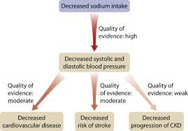 In addition, 50 percent of people with diabetes will experience some form of kidney damage in their lifetime, even if they never experience kidney failure or end up on dialysis. Kdigo 2020 Clinical Practice Guideline For Diabetes Management In Chronic Kidney Disease Kidney International