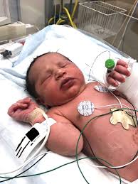 I wanted to give her comfort': Deputy recounts dramatic night he rescued  newborn baby girl left in plastic bag