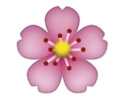 Flower Emoji Png Flower Emoji Png Transparent Free For Download On Webstockreview 2020 The cherry blossom emoji (u+1f338) was released by unicode in 2010, as a part of unicode version 6.0. flower emoji png flower emoji png