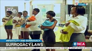 We did not find results for: Encanews Surrogacy In South Africa Facebook