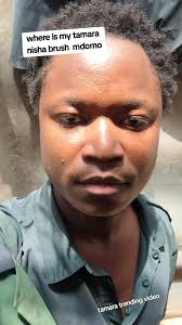 Whre Is My Tamara Trending Video