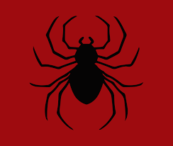 We did not find results for: Hunter X Hunter Phantom Troupe Twelve Leg Spider Logo Anime Manga Men S T Shirt