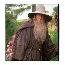 Gandalf With Hat Binder Zazzle Com Gandalf The Grey Lord Of The Rings Gandalf