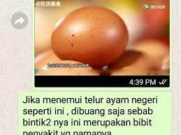 Natural nusantara yang diharapkan bisa membantu bagi peternak ayam untuk mengatasi berbagai permasalahan yang sering dihadapi dalam budidaya ternak ayam. Penjelasan Soal Broadcast Bintik Di Kulit Telur Bisa Bikin Penyakit