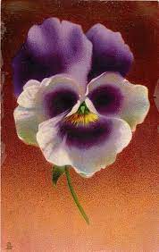 White And Purple Pansy Single Stem Pointing Right One Small Leaf Below Flower Brown Background Pansies Flowers Watercolor Flowers Tutorial Flower Art
