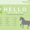 Here you'll find famous horse names shared by other horsecrazygirls like you! 1