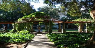 Places To Visit Cloud End Forest Resort