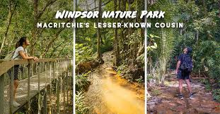 Part of the central catchment nature reserve, the windsor nature park is one of the newer nature park in singapore, opening its doors to visitors in april 2017. Windsor Nature Park A Lesser Known Hike To Macritchie In Singapore