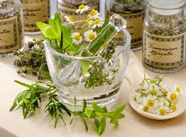 Avec cette formation 100% en ligne, vous allez apprendre la botanique, les techniques horticoles, l'entretien phytosanitaire des plantes et la création ainsi, vous travaillez à votre rythme et gérez votre formation à distance comme vous l'entendez. Des Ecoles Pour Se Former A L Herboristerie Plantes Et Sante