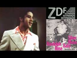 The program was made famous by the moderator dieter thomas heck. Silver Moon Baby Randolph Rose Shazam