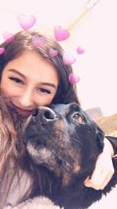 Rottweiler owner introduction and experience