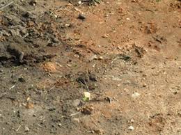 Having a commercial grade soil spreader can really help. Improving Clay Soil