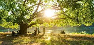 Previsão do tempo em um minuto ☀️🌤⛈. Previsao Do Tempo Para Hoje 2 Em Sao Paulo Veja