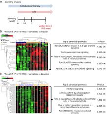 Free shipping for many products! Hiv Tuberculosis Associated Immune Reconstitution Inflammatory Syndrome Is Characterized By Toll Like Receptor And Inflammasome Signalling Nature Communications