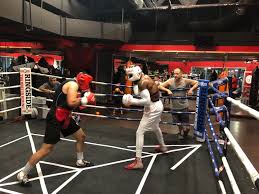 Sydney leblanc and yordenis ugas vs. Photos Yordenis Ugas Is Ripped And Ready For Omar Figueroa Boxing News