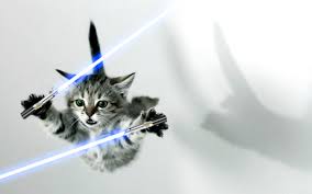 Relevant newest # yes # wow # strong # applause # lightsaber # black and white # horse # military # footage # historic # star wars # lightsaber # may the 4th # may the fourth # star wars cat # cat # cute # animals # vintage # animal # star wars # kitten # best friends # jedi # lightsaber Semi Hiatus B A P As Cats With Lightsabers