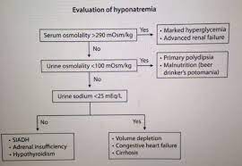 Hyponatremia Algorithm Diagnosing Hyponatremia Look At Cmp Na Then Order Serum Osmolality Urine Osmola Nursing Lab Values Nursing Notes Hyponatremia