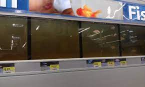 Here are some of the more disturbing things he said. Walmart Should Really Stop Selling Fish Walmart