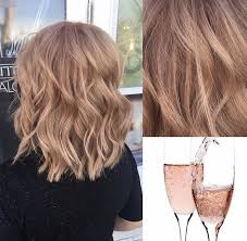 модный цвет волос 2020 для карих глаз на короткие волосы Winter Hair Champagne Hair Champagne Blonde Hair Champagne Hair Color