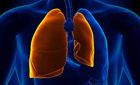 Or it may occur for no obvious reason. Pneumothorax Collapsed Lung Causes Symptoms And Treatment