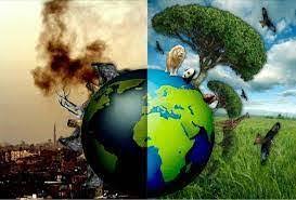 LA PROTECTION DE L'ENVIRONNEMENT % % % %