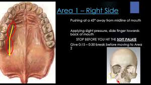 Self Mouth Adjustment For Performance Breathing