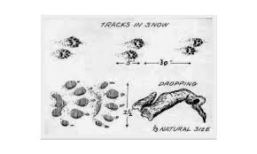 Download in under 30 seconds. Citizen Science