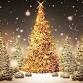 11th Annual Lynn Tech Festival of Trees event image