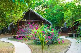 At scout pest management, we offer extensive services to cover all aspects of pest control, including birds, rodents, gophers, rabbits, landscape you won't find a better price for the knowledge we have and the job we preform. Ganesh Garden Beach Cabanas Resort Tangalle Deals Photos Reviews