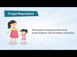 Pelanggan dapat mendaftarkan hingga maksimal 6 nomor telkomsel. 8 Fungsi Utama Keluarga Indonesia Baik