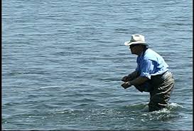 Amazon.com: South Fork of the Snake River : Mike Lawson, Todd Lanning, Gene  Hering: Movies & TV