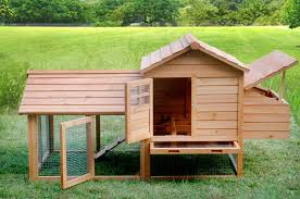 The Leghorn Cottage 2 3 Chickens Goruntuler Ile Kumes Tavuk Kumesleri Tavuk